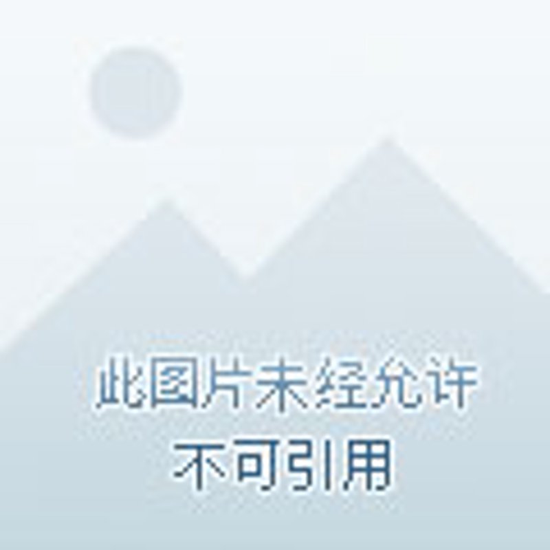 金兰云推广网站：如何选择最适合你的方案？